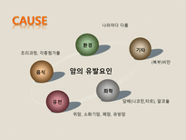 [영양관리] 암예방을 위한 생활습관-12