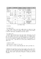 [경영학] 롯데칠성의 마케팅, 성공사례, 마케팅전략, 성공전략, 경영전략분석, 성공적인 마케팅 경영전략 조사분석(A+자료)-19