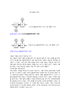 [경영학] 트랜스지방의 특징과 우리몸에 미치는 영향 및 문제점 해결방안 조사분석(A+자료)-6