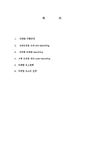 [경영학] 마케팅의 수행단계 및 마케팅 믹스전략 조사분석(A+자료)-2