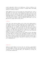 [경영학] 마케팅의 수행단계 및 마케팅 믹스전략 조사분석(A+자료)-8
