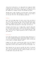 [경영학] 마케팅의 수행단계 및 마케팅 믹스전략 조사분석(A+자료)-9
