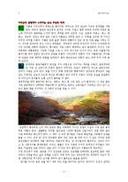 역사문화콘텐즈-3