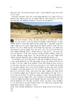 역사문화콘텐즈-5