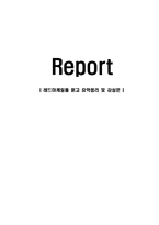 [감상문] 레드마케팅을 읽고 요약정리 및 감상문(A+자료)-1
