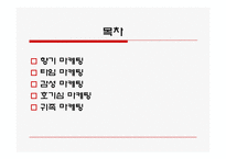 [경영학] 마케팅의 종류와 사례 조사분석(A+자료)-2