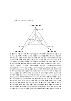 [경영학] 경영혁신과 기술혁신의 내용 및 특징과 원리 조사분석(A+자료)-8