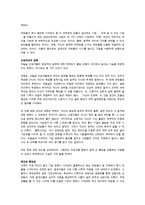 [감상문] 몰입의 경영 읽고 요약정리 및 감상문(A+자료)-9