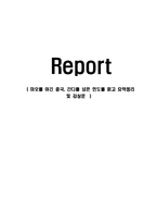 [감상문] 마오를 이긴 중국, 간디를 넘은 인도를 읽고 요약정리 및 감상문(A+자료)-1