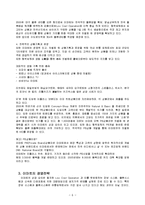 [경영학] 이마트의 마케팅, 성공사례, 마케팅전략, 성공전략, 경영전략분석, 진출배경 및 성공적인 경영전략과 마케팅 전략 조사분석(A+자료)-6