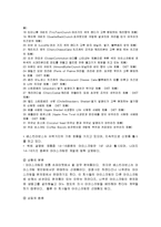 [경영학] 베스킨라빈스의 마케팅, 성공사례, 마케팅전략, 성공전략, 경영전략분석, 성공적인 경영전략과 마케팅전략 조사분석(A+자료)-12