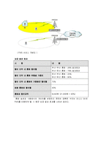 유무선 통합 서비스 KT FMS와 SKT FMC 비교분석-5