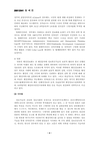 [학사]바람직한 전자정부 구현을 위한 방안-8