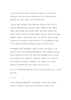 [전자상거래] 상표보호에 대한이론적연구-10