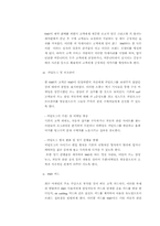 [마케팅]르노 삼성 `SM3` 자동차 마케팅전략 분석-14