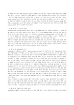 [마케팅전략]스타벅스 기업분석-5