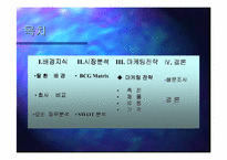 [마케팅]맥주시장 재탈환을 노리는 OB맥주 마케팅전략-3