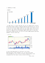 [인터넷비즈니스]LG e-shop 의 CRM 전략분석-5