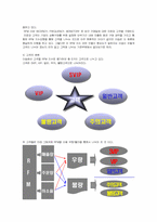 [인터넷비즈니스]LG e-shop 의 CRM 전략분석-11