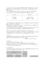 [인터넷비즈니스]LG e-shop 의 CRM 전략분석-12