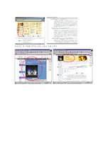 [인터넷비즈니스]LG e-shop 의 CRM 전략분석-16