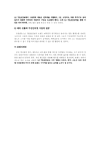 [마케팅관리]LG Telecom 의 광고분석과 향후전략-14