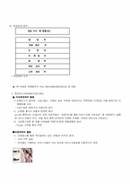 [마케팅전략]하겐다즈 아이스크림 전략-18