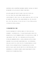 [관광산업]부산지역 관광자원 현황과 그 활용방안-10