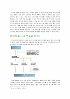 [국제경영]BMW 한국 시장 진출전략-15