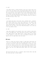[마케팅사례]바퀴달린 운동화 Hellys(힐리스) 마케팅성공전략-9