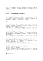 [마케팅사례]바퀴달린 운동화 Hellys(힐리스) 마케팅성공전략-16