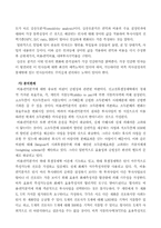 [정책분석론]비용편익분석 및 대안비교의 접근방법-8