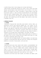 [정책분석론]비용편익분석의 및 비용효과분석-8