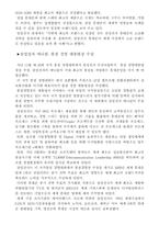 [경영전략]삼성 애니콜 마케팅 전략-10