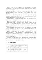 [기업분석]현대자동차 경영전략-11