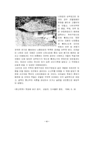 [답사]강원도 너와집 답사-4