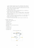 [경영전략]국내맥주시장 분석-9