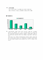[광고기획안] 소주 광고기획안 마케팅-10