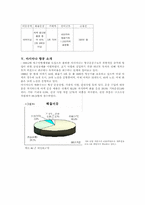 [항공산업]금호그룹(아시아나항공) 경영전략-7