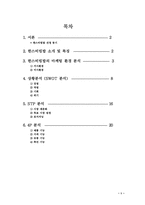 [마케팅]한스비빔밥 마케팅전략 분석-1