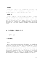 [마케팅]한스비빔밥 마케팅전략 분석-3