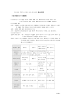 [마케팅]한스비빔밥 마케팅전략 분석-17