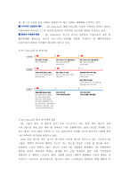 [중국마케팅]한류열풍과 중국 sk텔레콤 마케팅전략-6