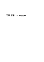 [중국마케팅]한류열풍과 중국 sk텔레콤 마케팅전략-10