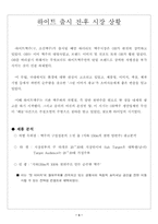 [마케팅전략]하이트맥주 마케팅 전략-4