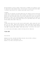 [브랜드 마케팅]삼성전자 `하우젠` 마케팅과 광고전략-12