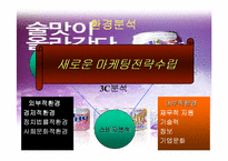 [마케팅]`하이주` 마케팅전략 분석-6