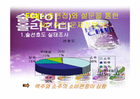 [마케팅]`하이주` 마케팅전략 분석-18