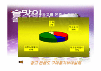 [마케팅]`하이주` 마케팅전략 분석-20