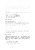[마케팅분석]휴대폰벨소리 5425(700서비스)의 분석-8